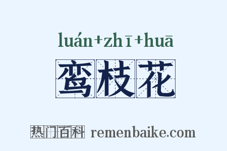 鸾枝花是什么意思的图片